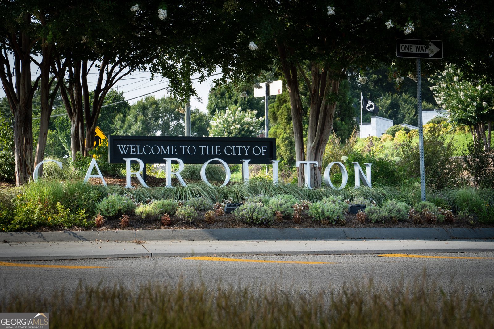 106 Manor Way Carrollton - Photo 72