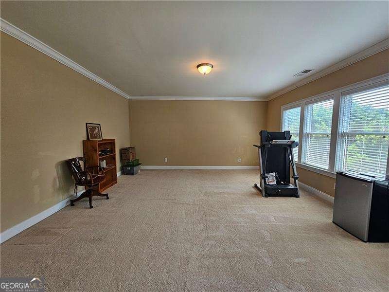 1435 Woodall Trace Alpharetta - Photo 28