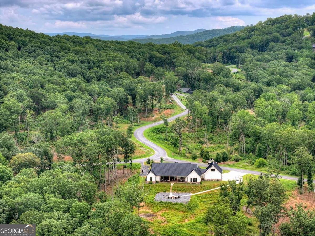 624 High Summit Drive Talking Rock - Photo 47