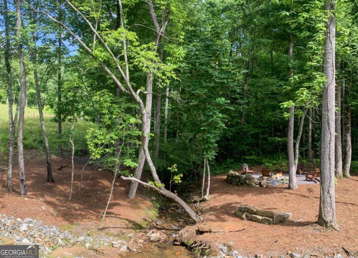 624 High Summit Drive Talking Rock - Photo 62