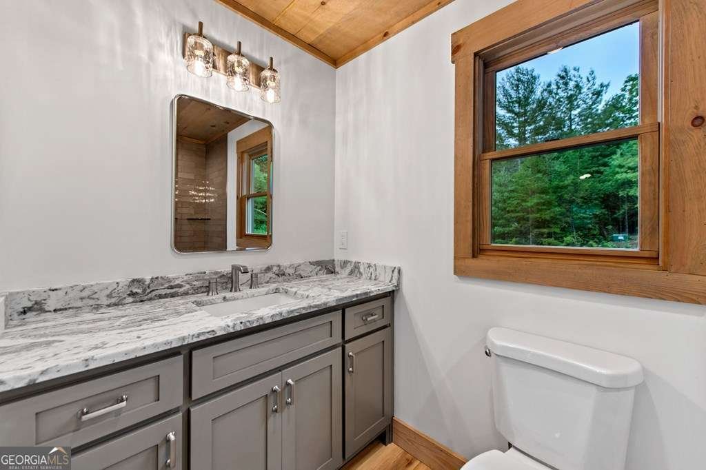144 Highlands Gap Mineral Bluff - Photo 41
