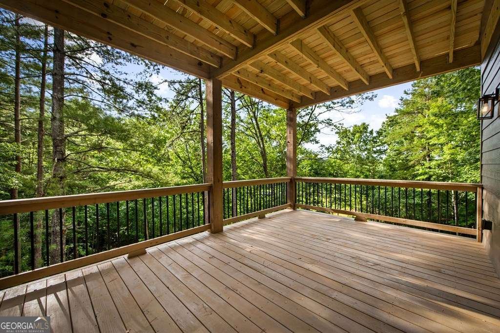 144 Highlands Gap Mineral Bluff - Photo 65