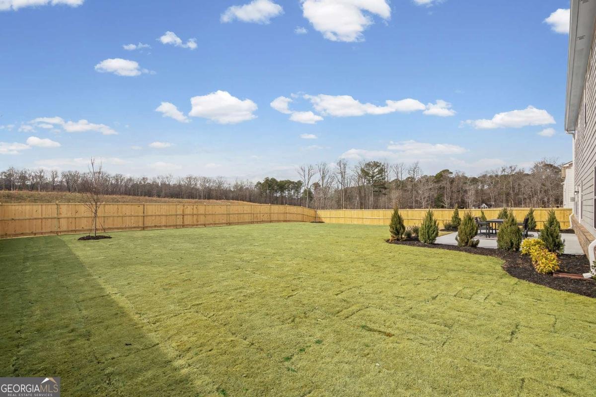 132 AJ Welch Jr Way Mcdonough - Photo 26
