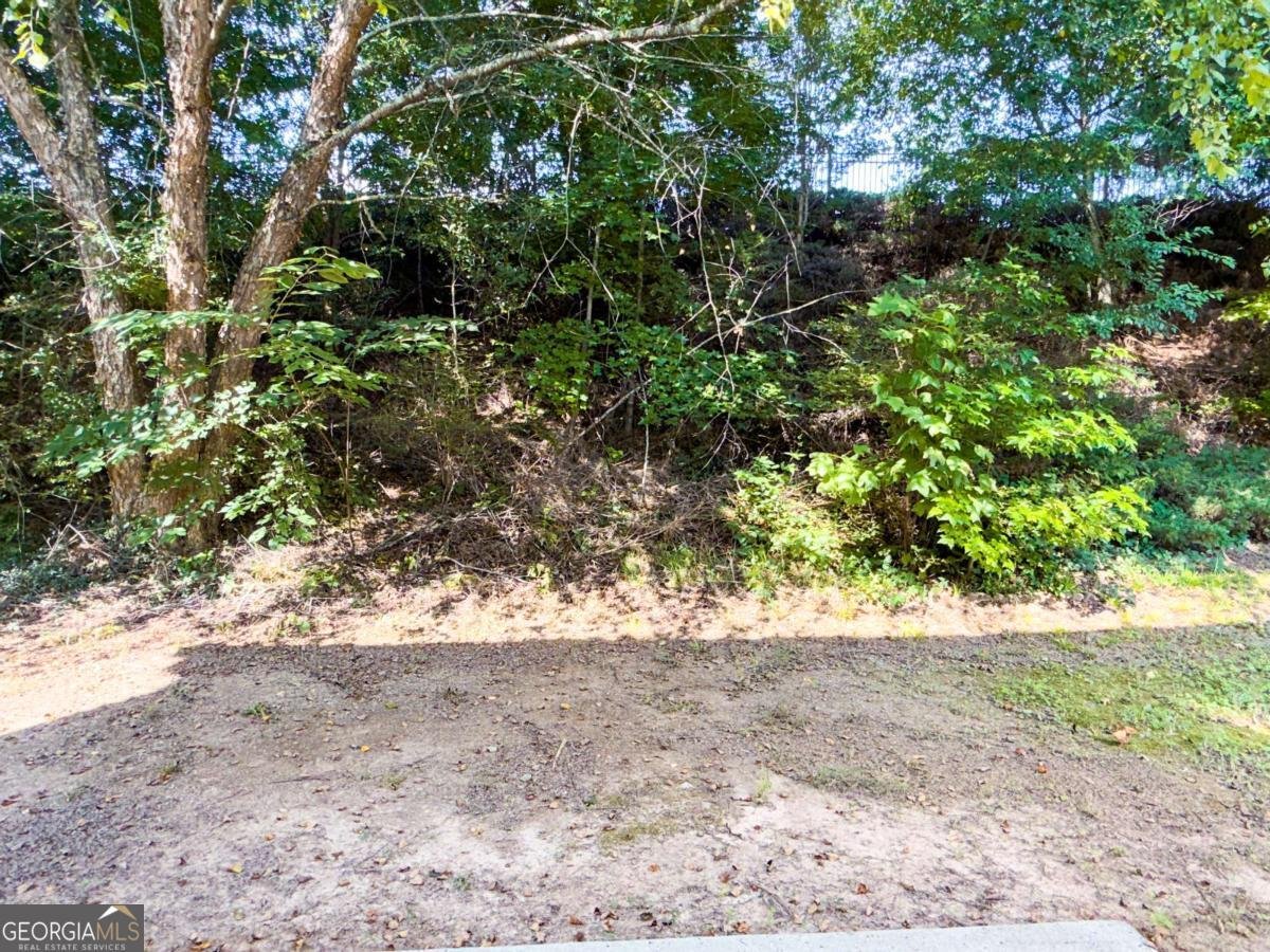 5415 Falls Landing Drive Cumming - Photo 13