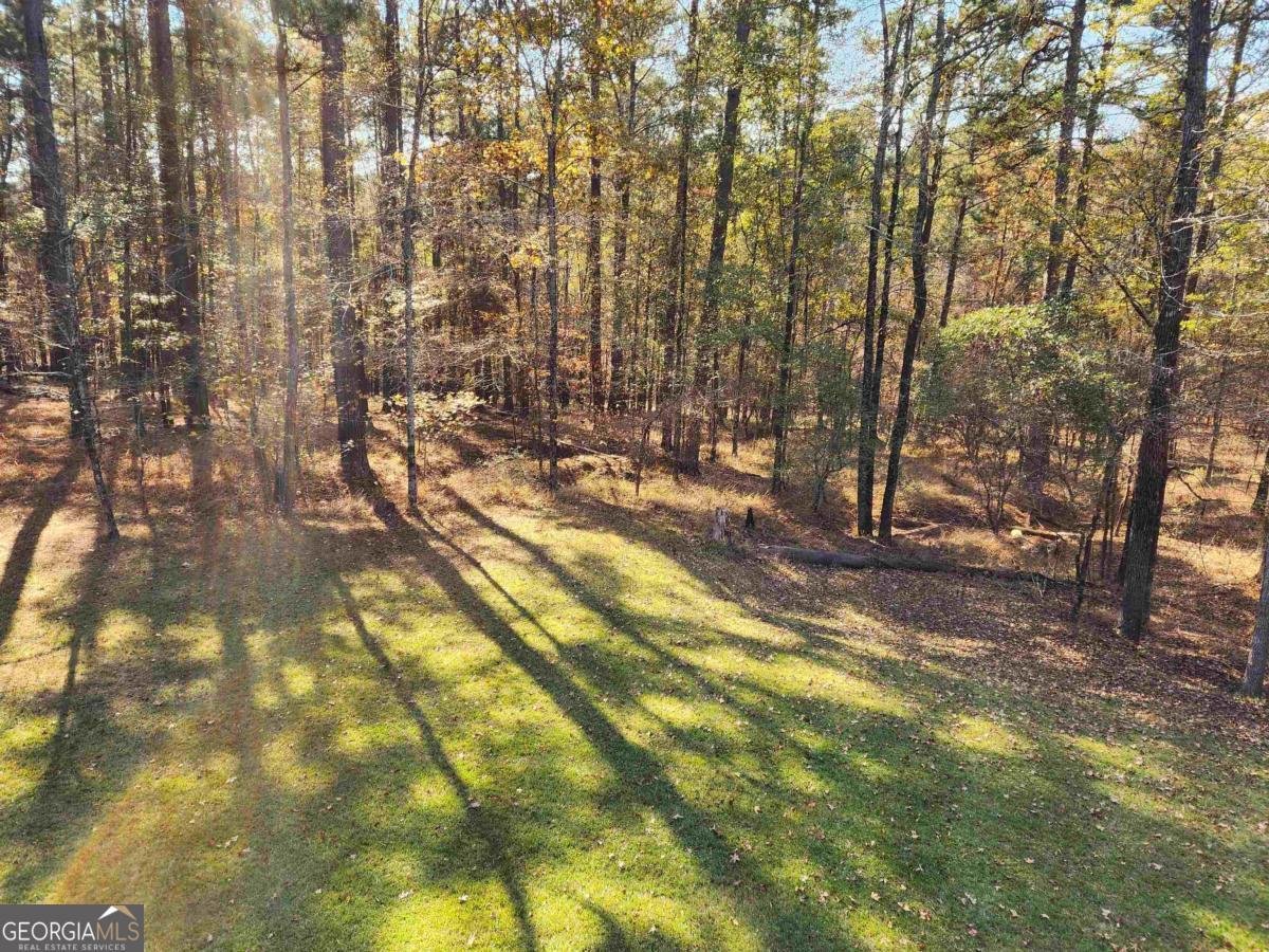 1091 Bouldercrest Way Greensboro - Photo 30