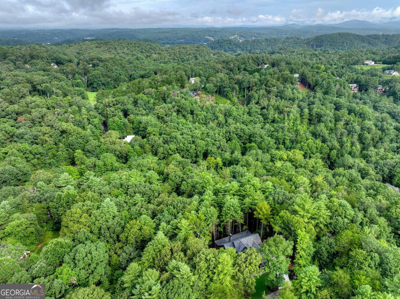 291 Aspen Avenue Ellijay - Photo 52