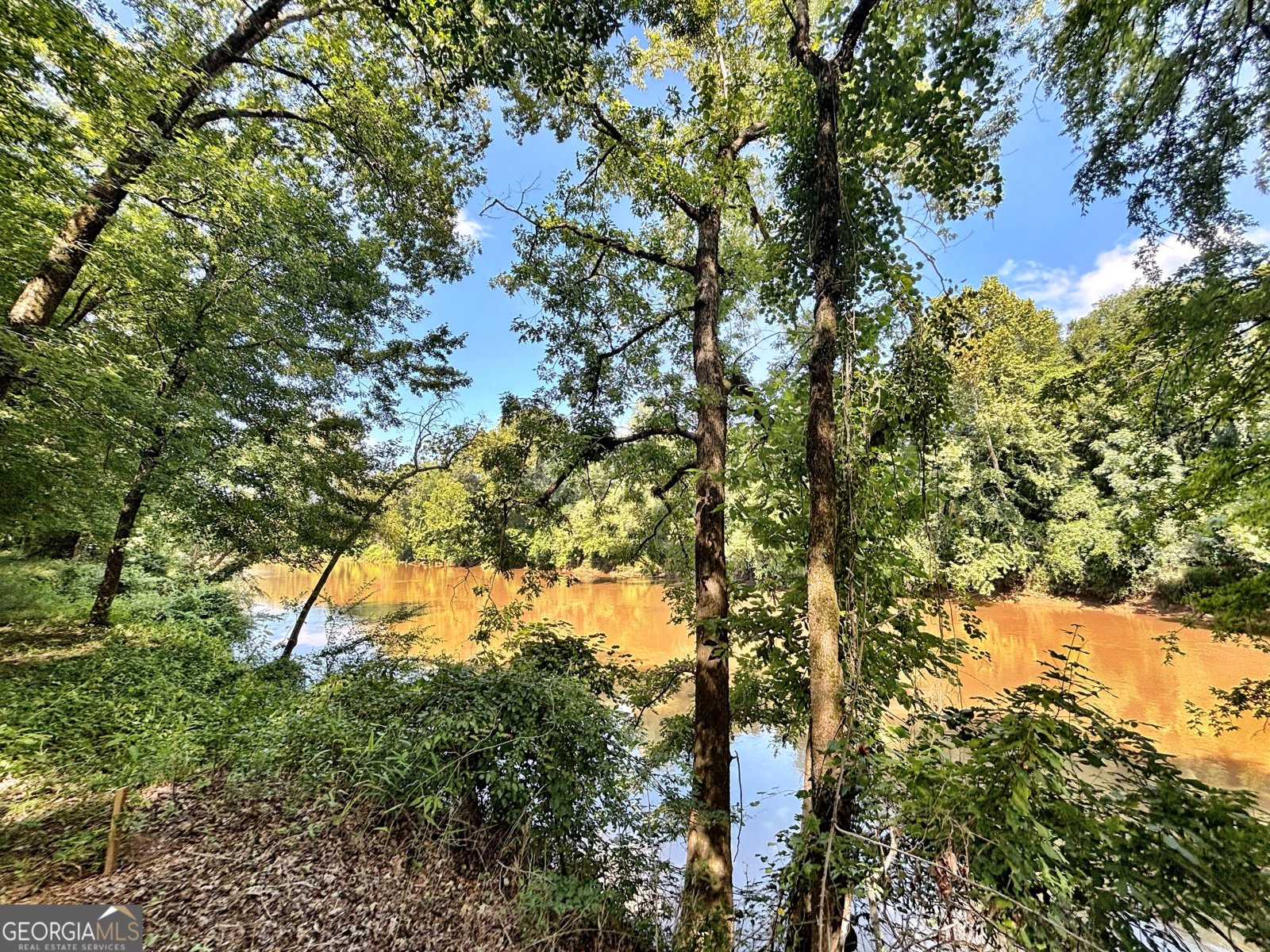 8502 S 19 HWY Culloden - Photo 10