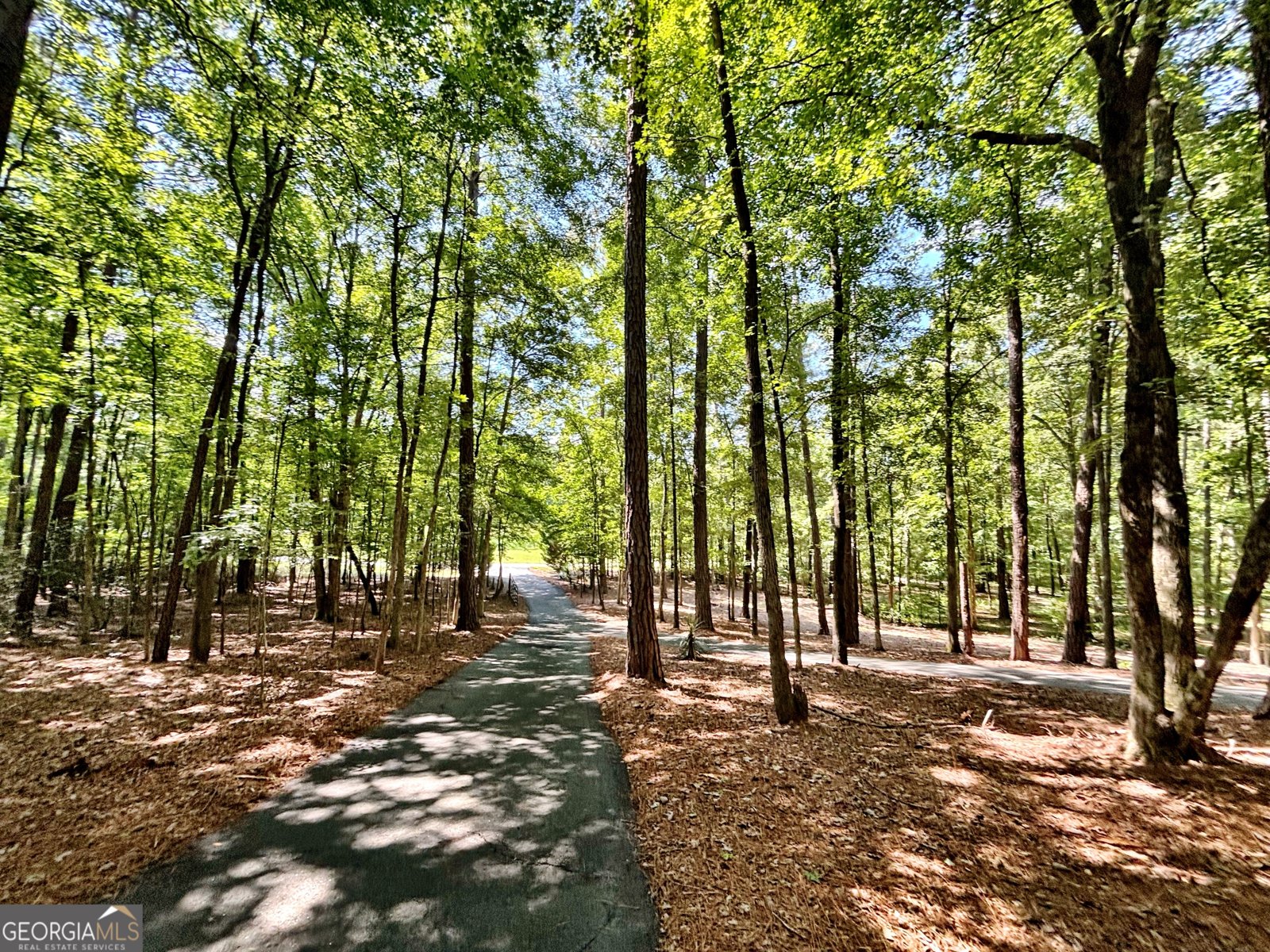 8502 S 19 HWY Culloden - Photo 11