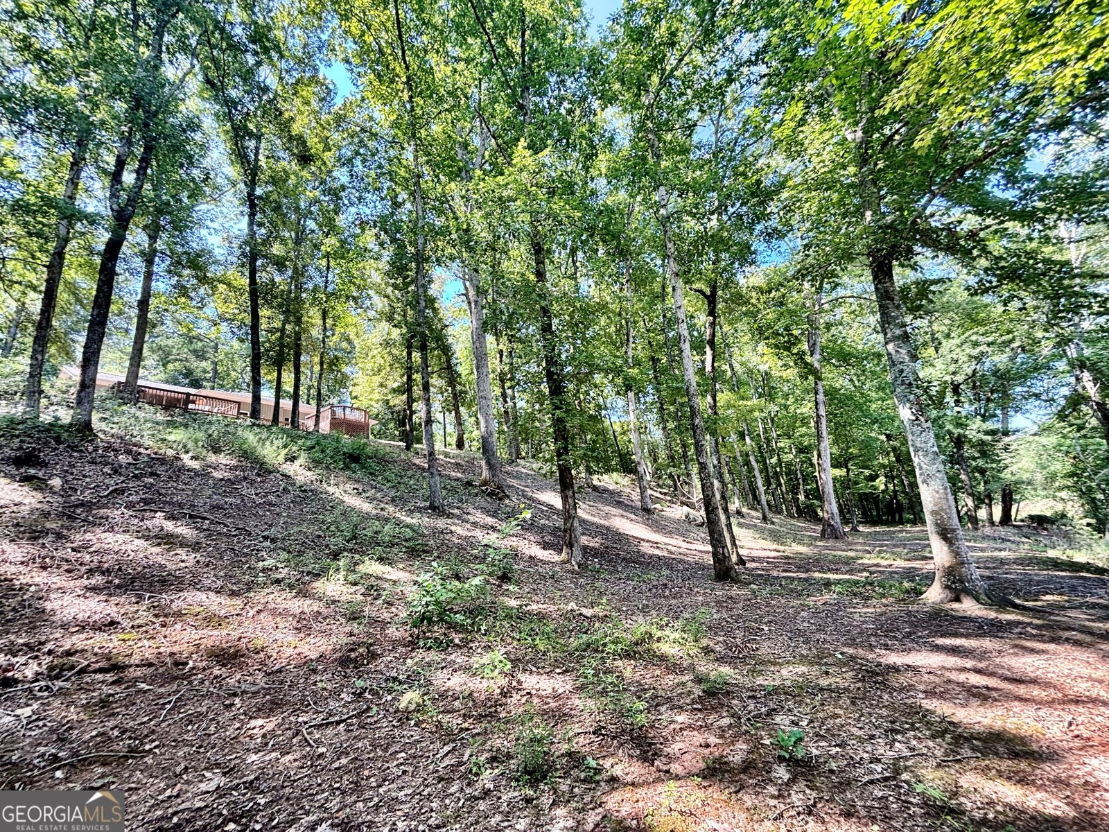 8502 S 19 HWY Culloden - Photo 25