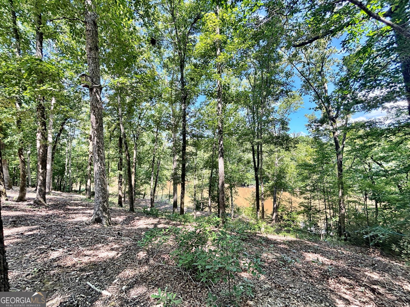 8502 S 19 HWY Culloden - Photo 26