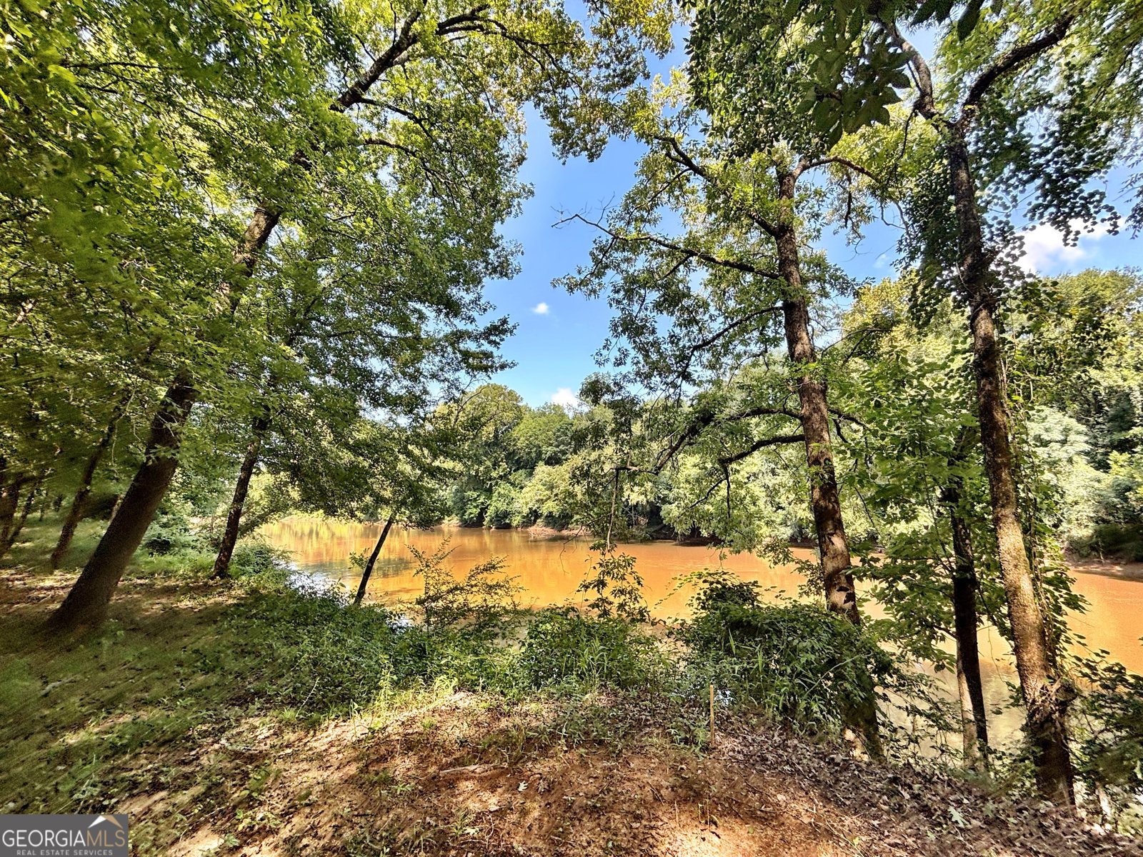 8502 S 19 HWY Culloden - Photo 29