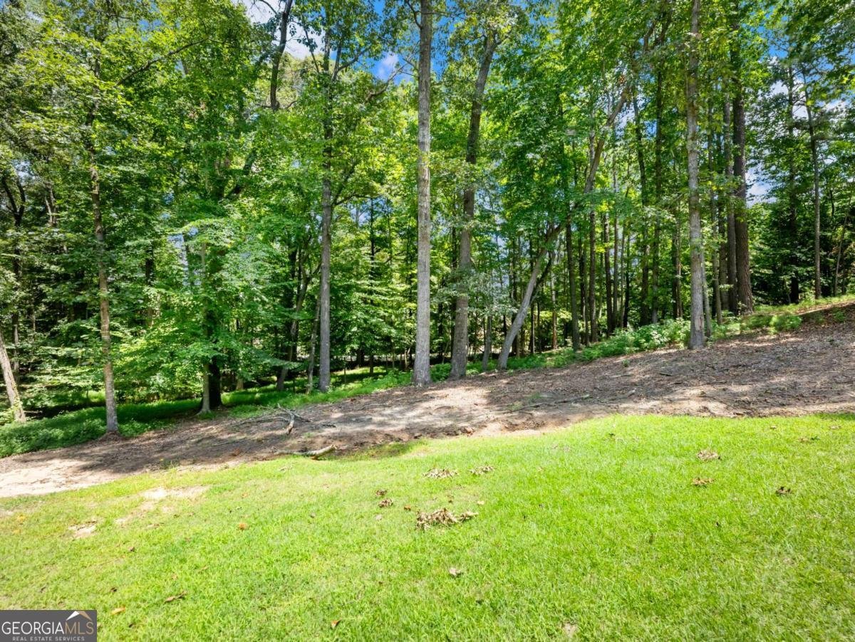 1925 Gene Sarazen Way Braselton - Photo 75