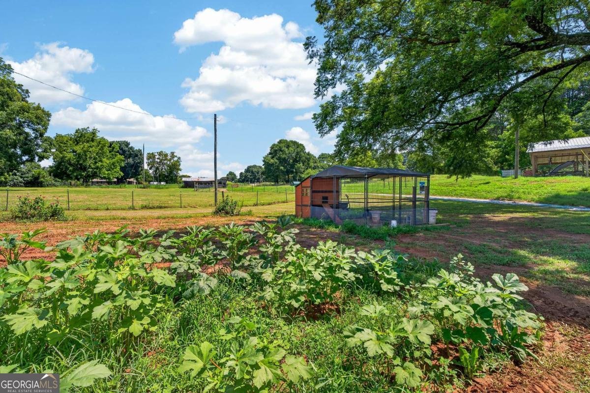 14155 HWY 106 Carnesville - Photo 33