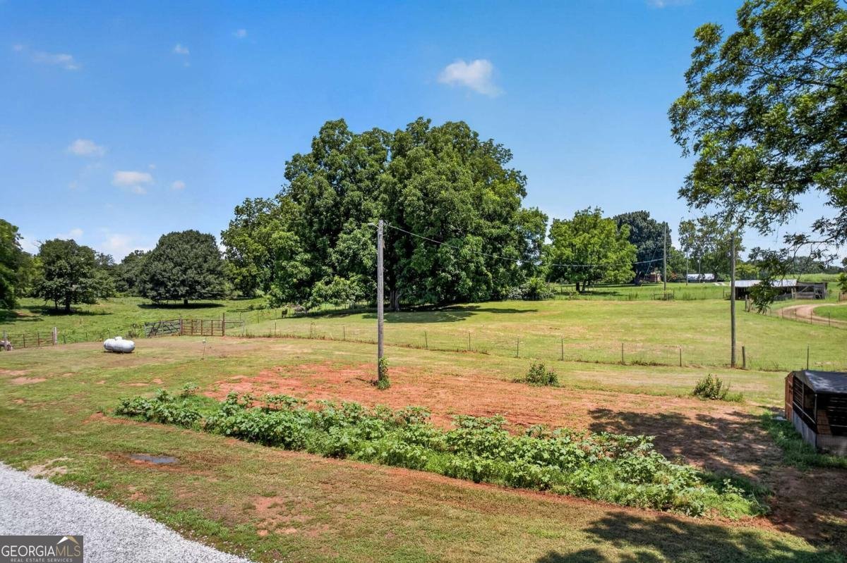 14155 HWY 106 Carnesville - Photo 40