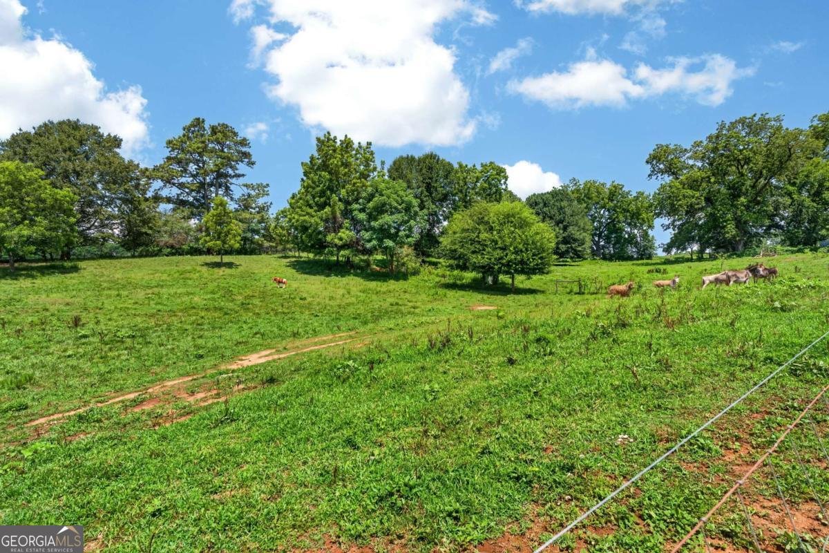 14155 HWY 106 Carnesville - Photo 41