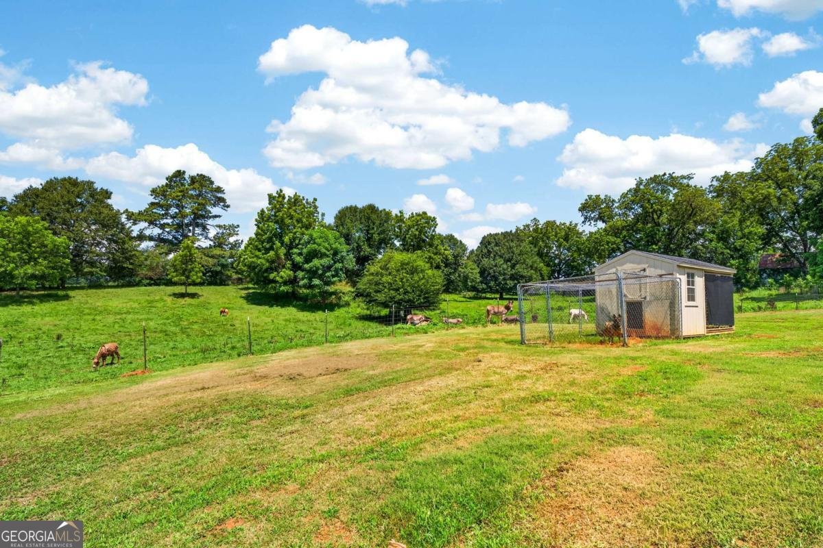 14155 HWY 106 Carnesville - Photo 42