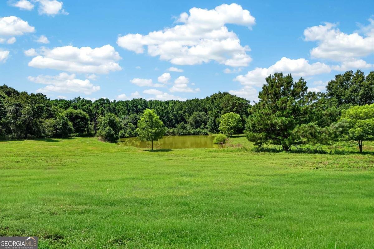 14155 HWY 106 Carnesville - Photo 43