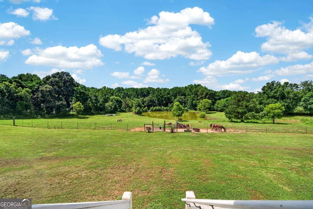 14155 HWY 106 Carnesville - Photo 44