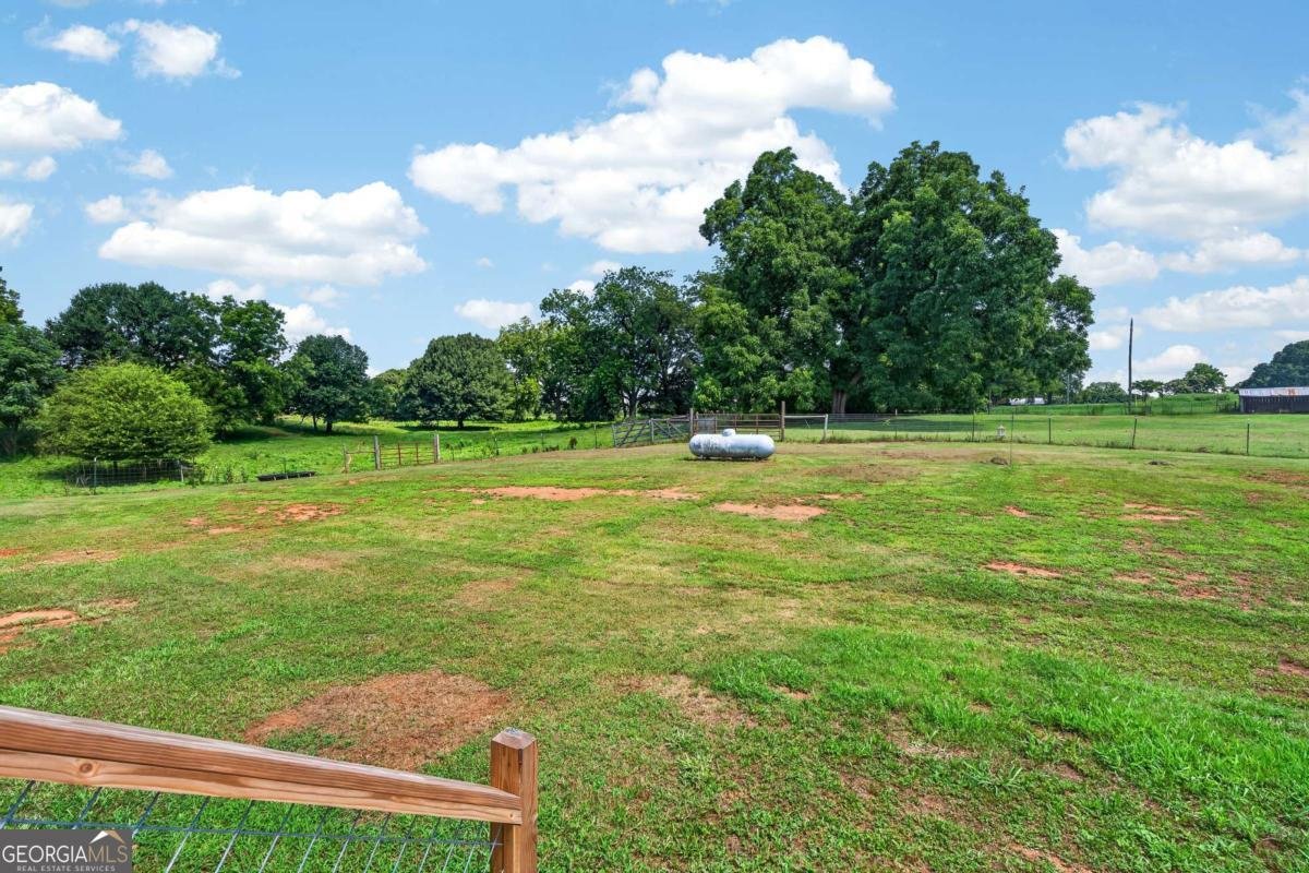 14155 HWY 106 Carnesville - Photo 45