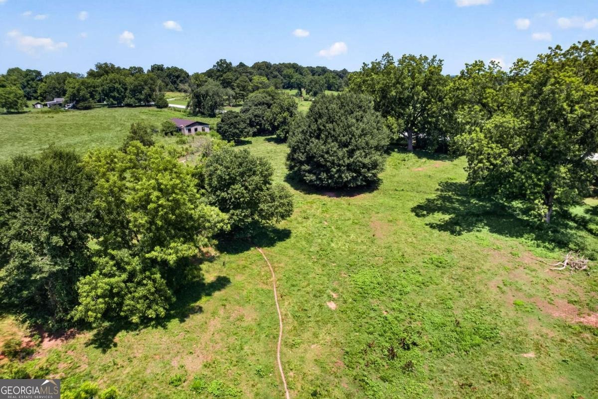 14155 HWY 106 Carnesville - Photo 52