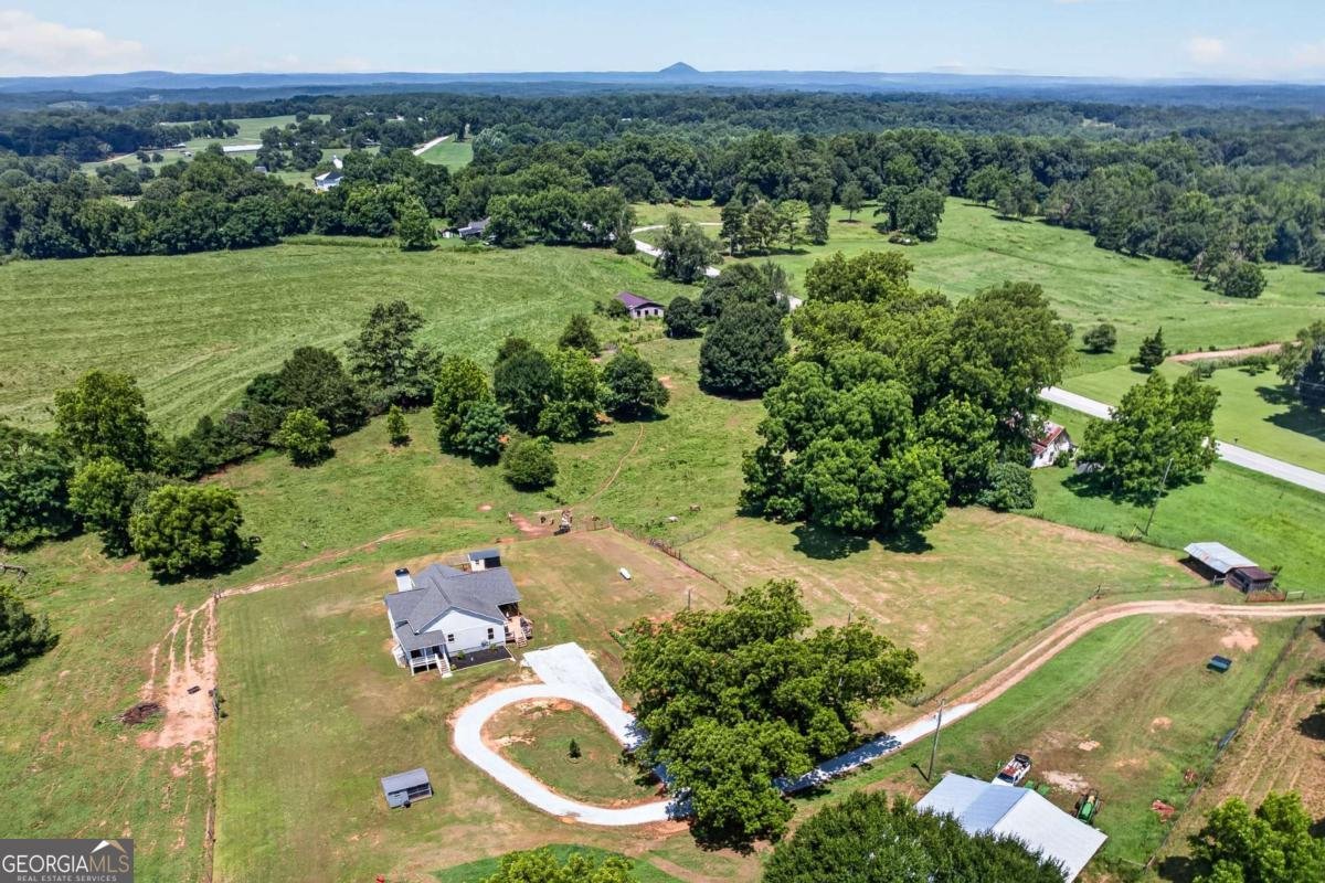 14155 HWY 106 Carnesville - Photo 58