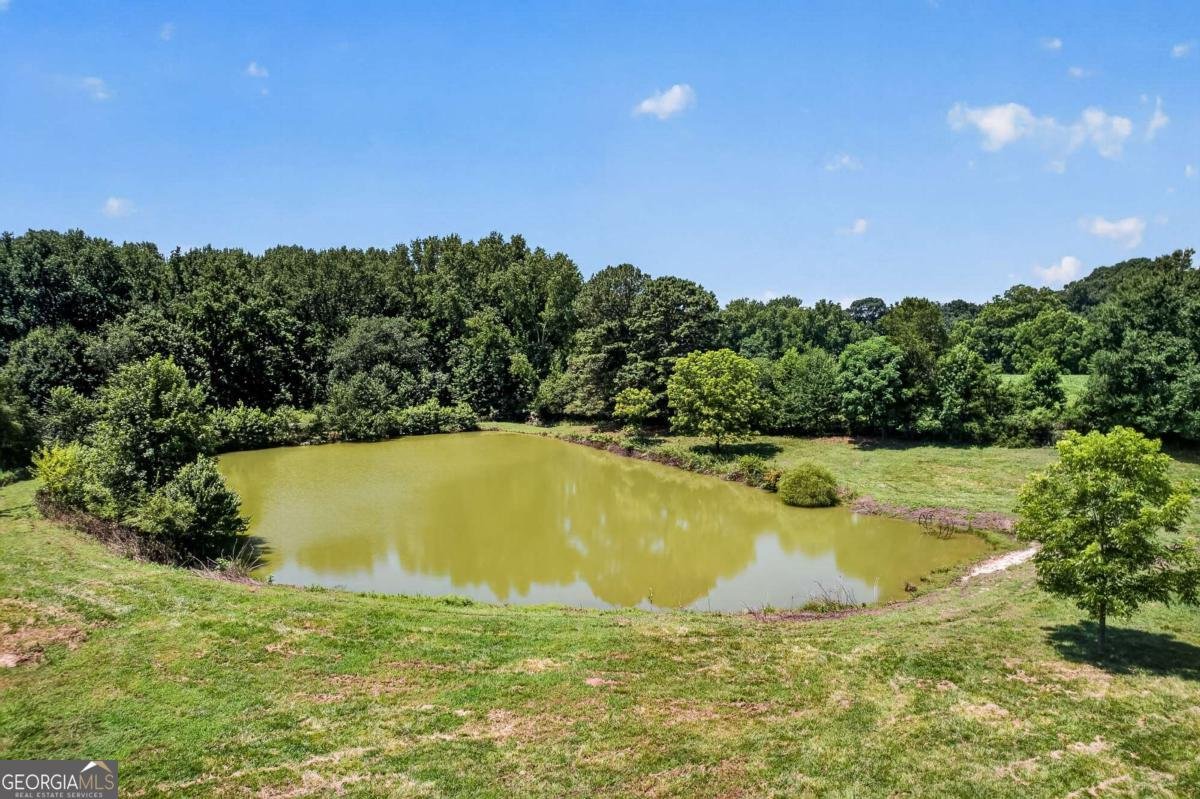 14155 HWY 106 Carnesville - Photo 60