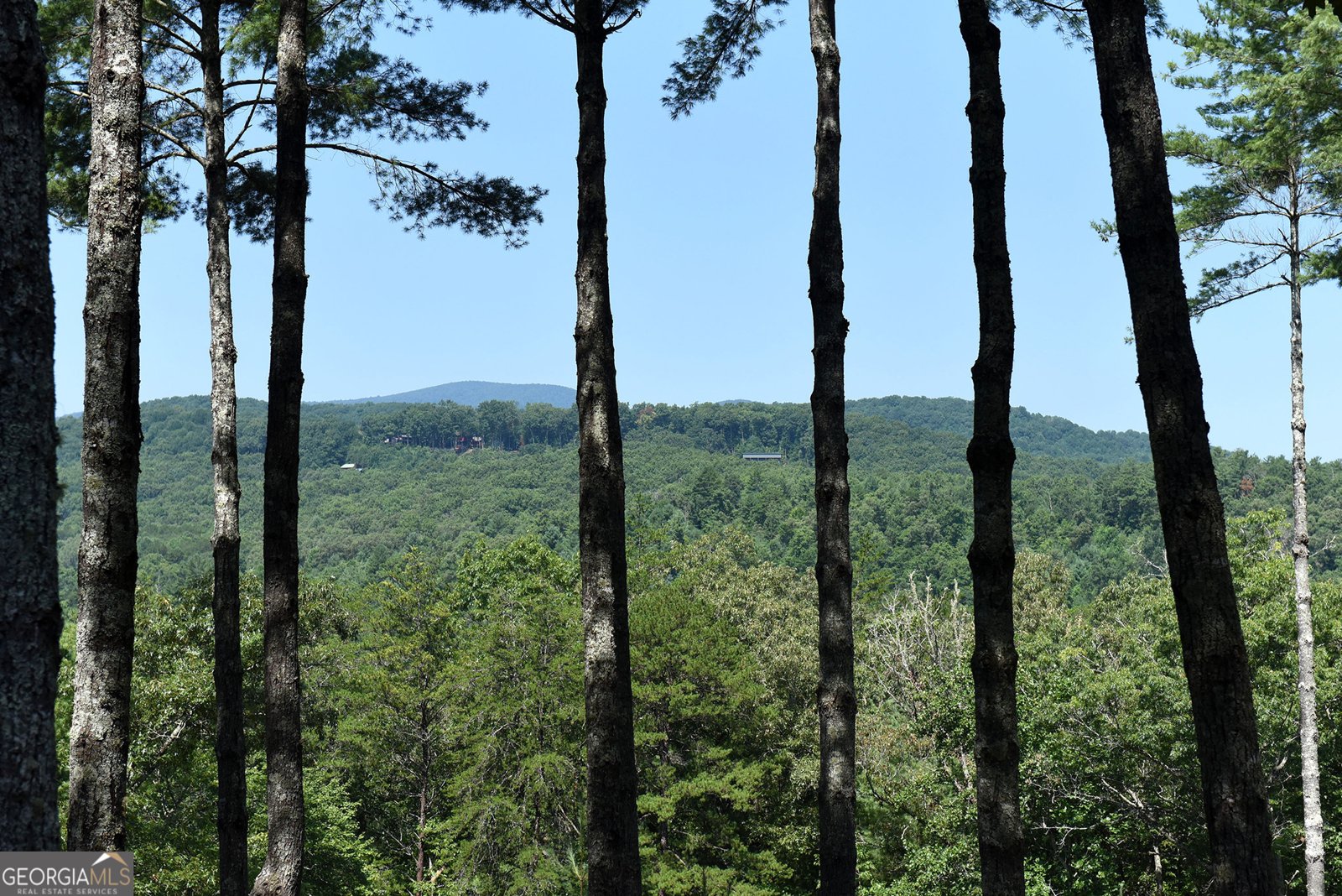 121 Noontootla Trail Blue Ridge - Photo 13