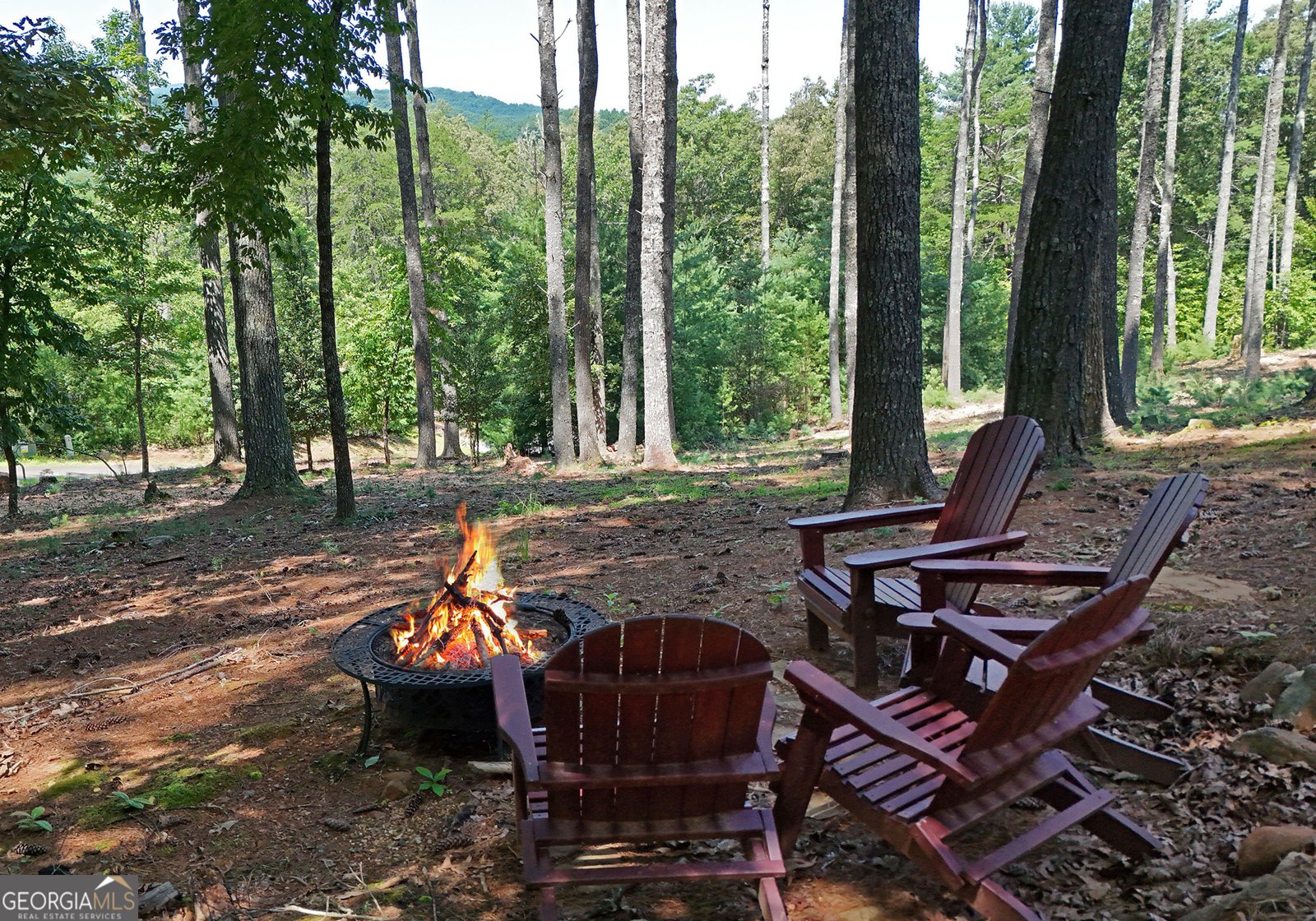121 Noontootla Trail Blue Ridge - Photo 14
