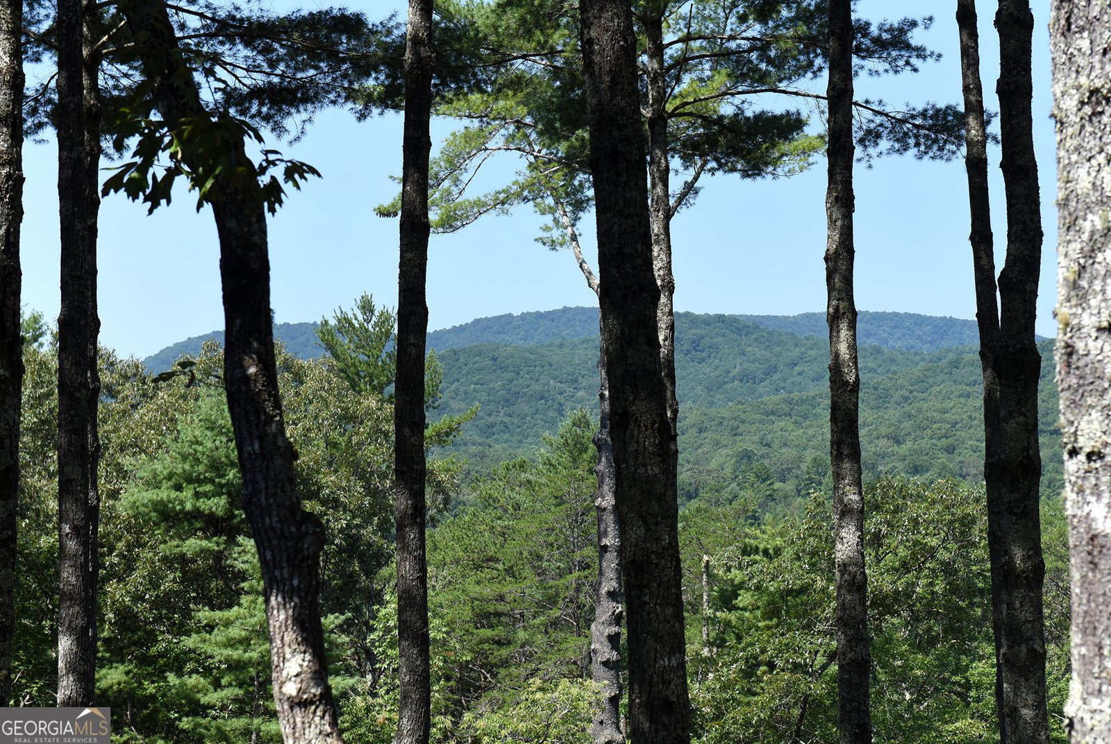 121 Noontootla Trail Blue Ridge - Photo 6