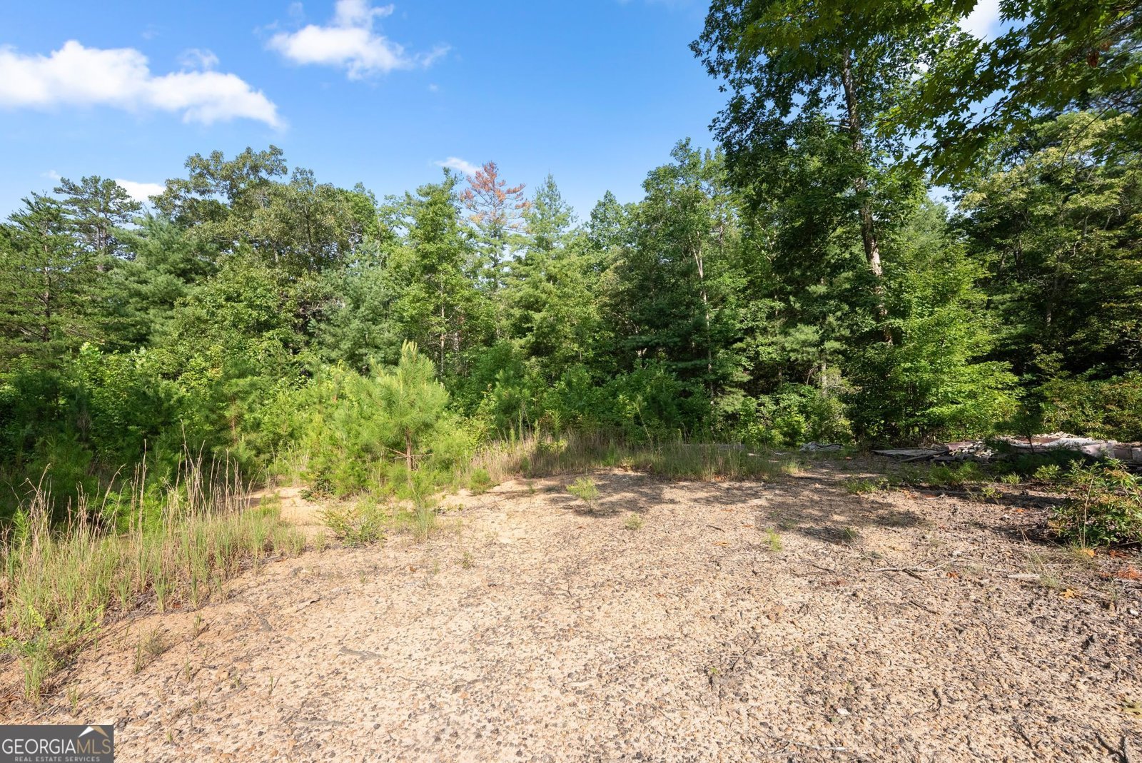4061,4063,4065, Historic Old Highway 441 Clarkesville - Photo 101