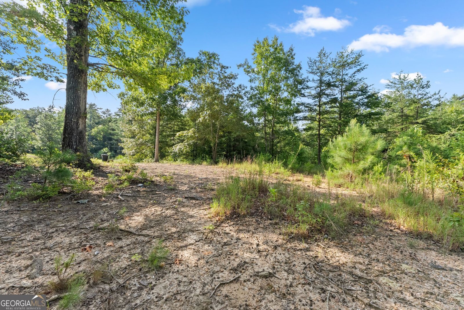 4061,4063,4065, Historic Old Highway 441 Clarkesville - Photo 102