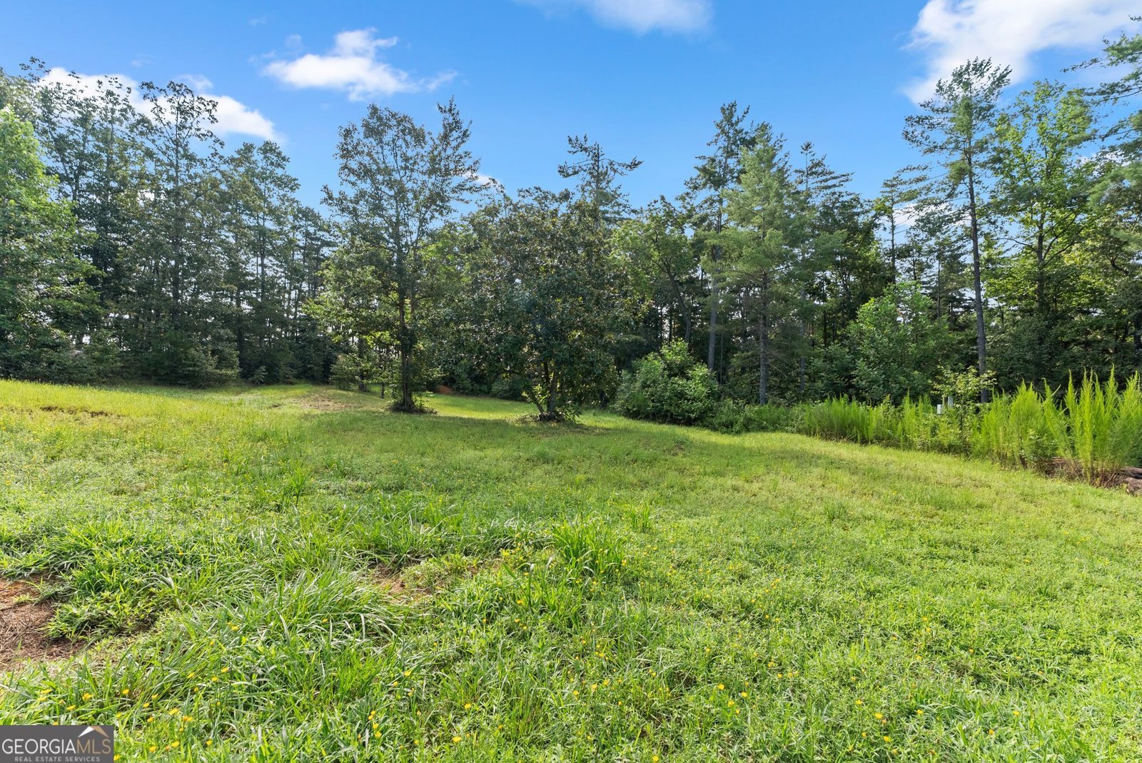 4061,4063,4065, Historic Old Highway 441 Clarkesville - Photo 103