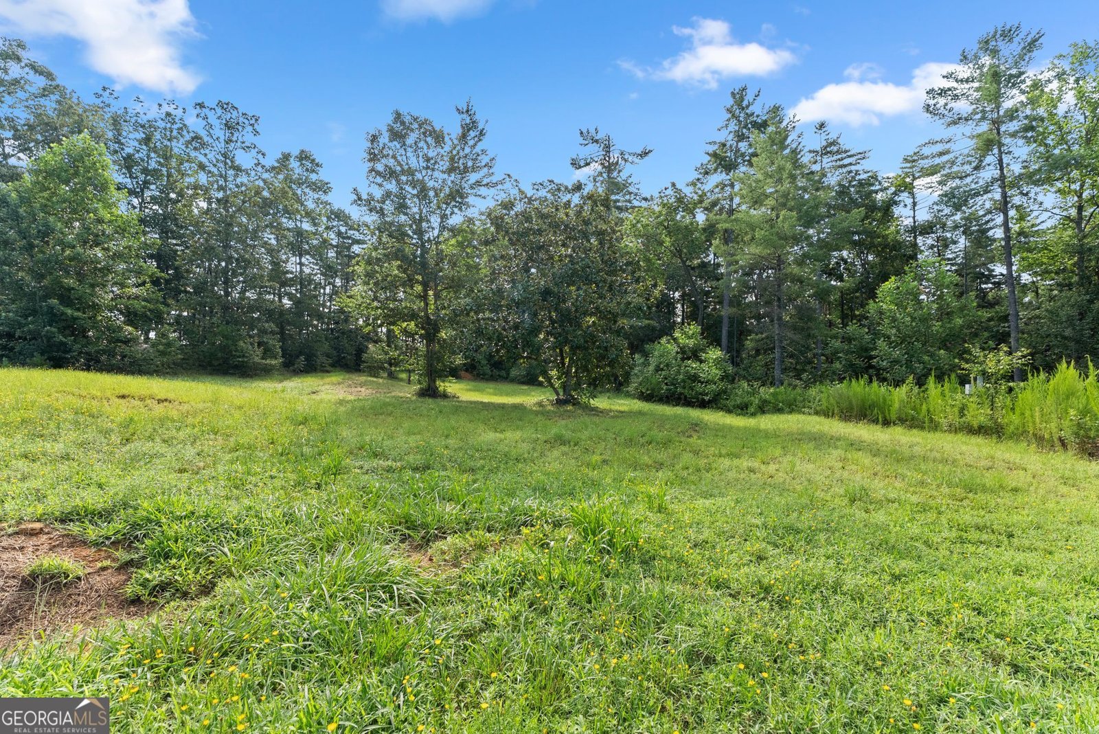 4061,4063,4065, Historic Old Highway 441 Clarkesville - Photo 104