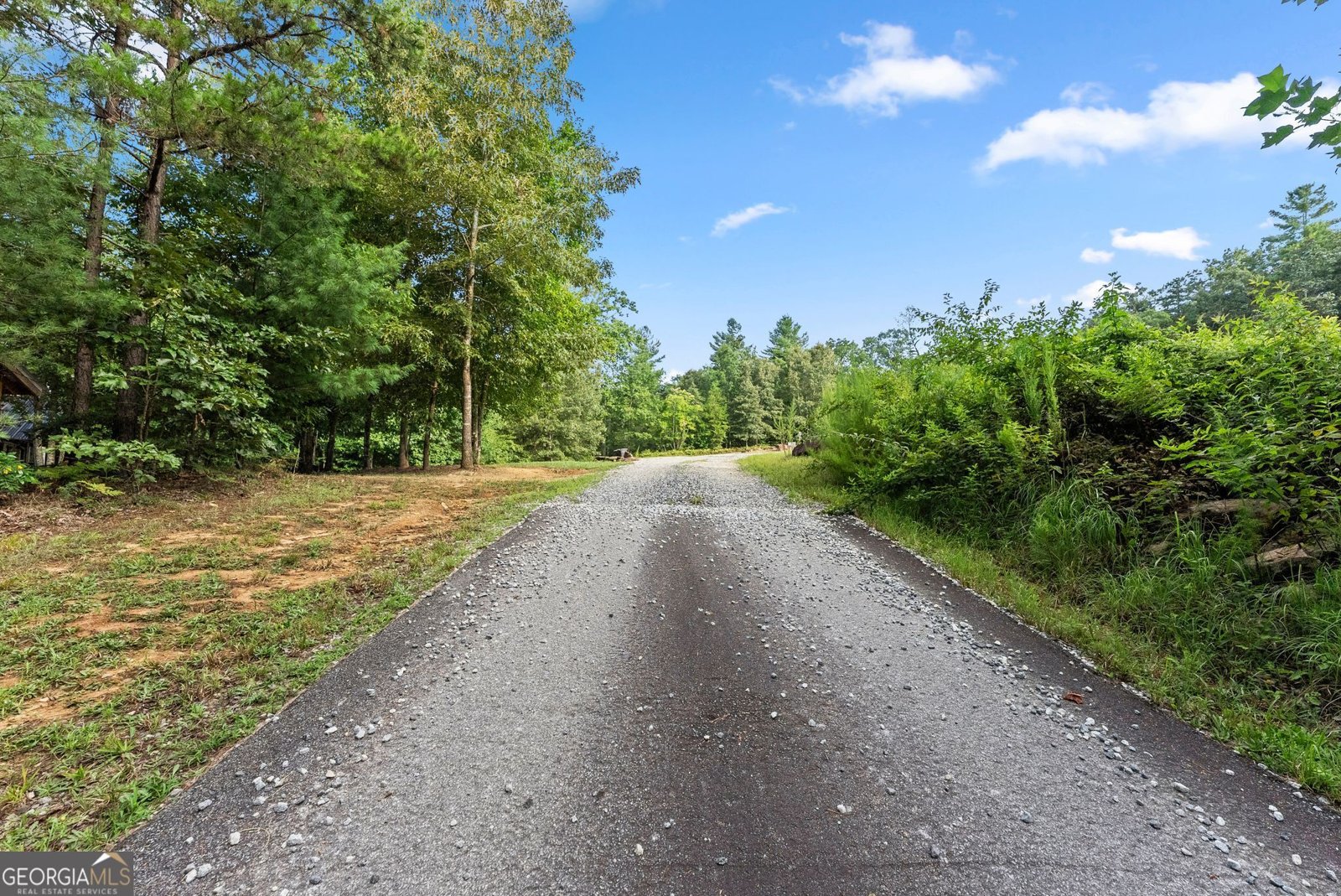 4061,4063,4065, Historic Old Highway 441 Clarkesville - Photo 69