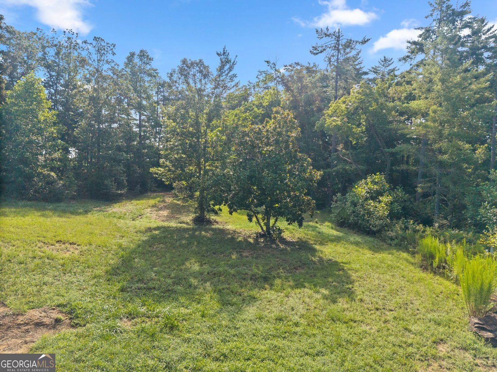 4061,4063,4065, Historic Old Highway 441 Clarkesville - Photo 80