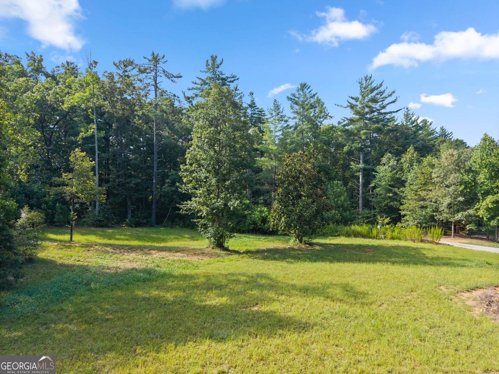 4061,4063,4065, Historic Old Highway 441 Clarkesville - Photo 81