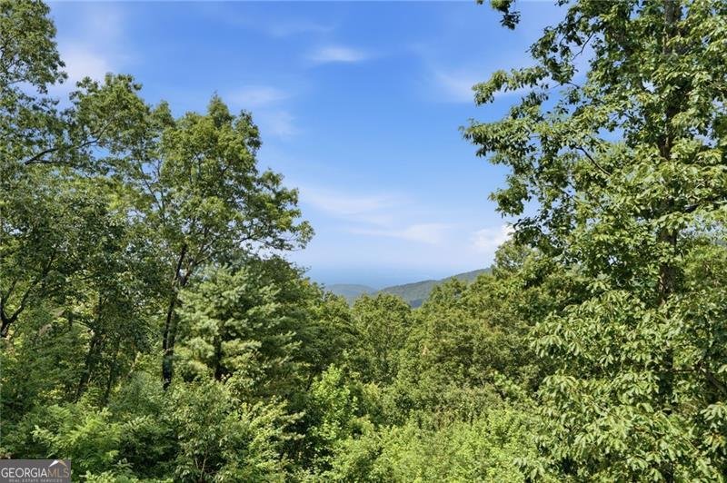 539 Dowel Circle Ellijay - Photo 28