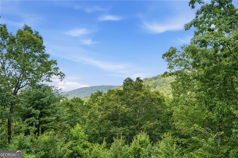 539 Dowel Circle Ellijay - Photo 29
