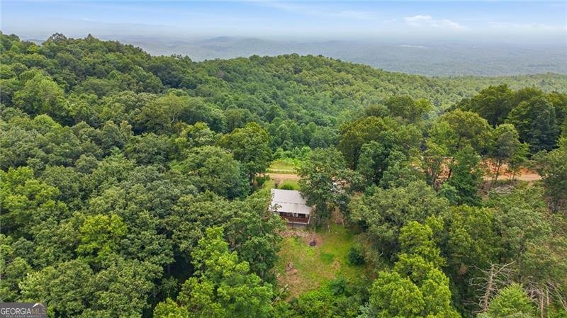 539 Dowel Circle Ellijay - Photo 33