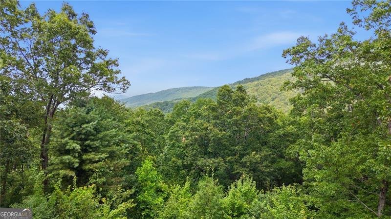539 Dowel Circle Ellijay - Photo 34