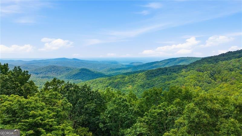539 Dowel Circle Ellijay - Photo 35
