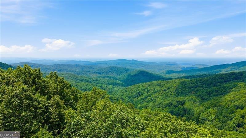 539 Dowel Circle Ellijay - Photo 36