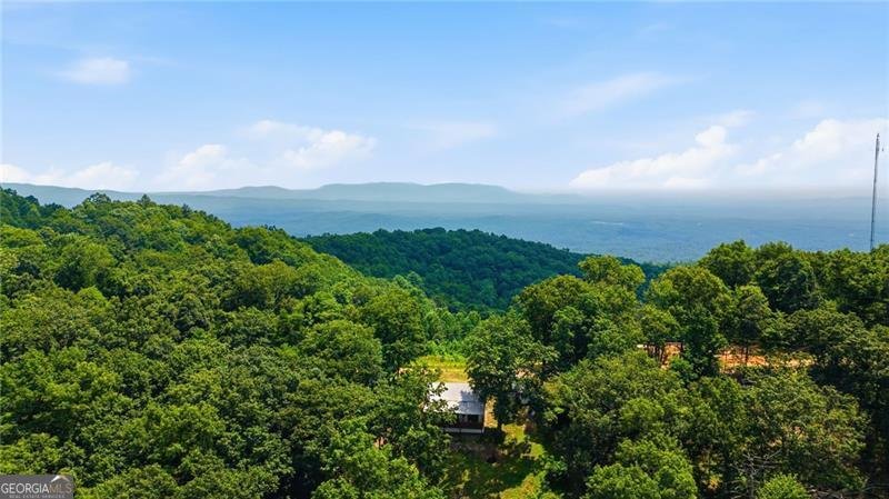 539 Dowel Circle Ellijay - Photo 38