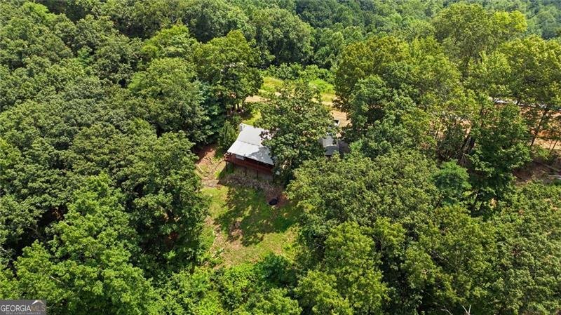 539 Dowel Circle Ellijay - Photo 39
