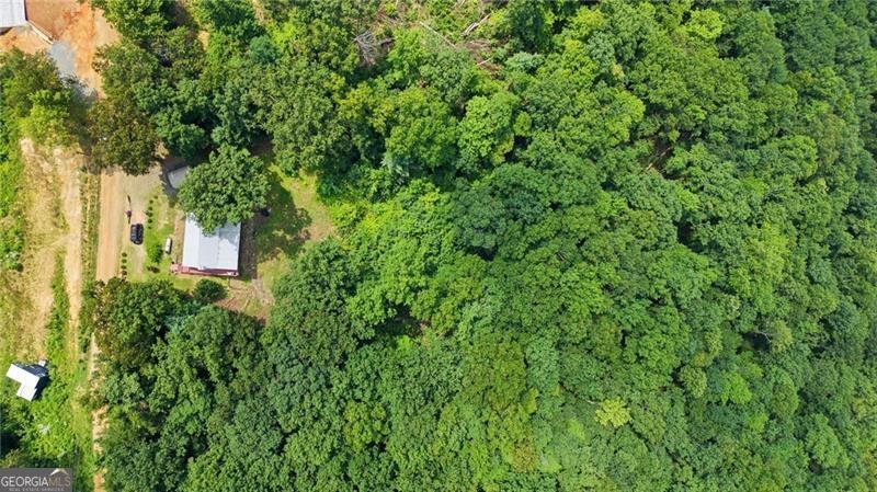 539 Dowel Circle Ellijay - Photo 41