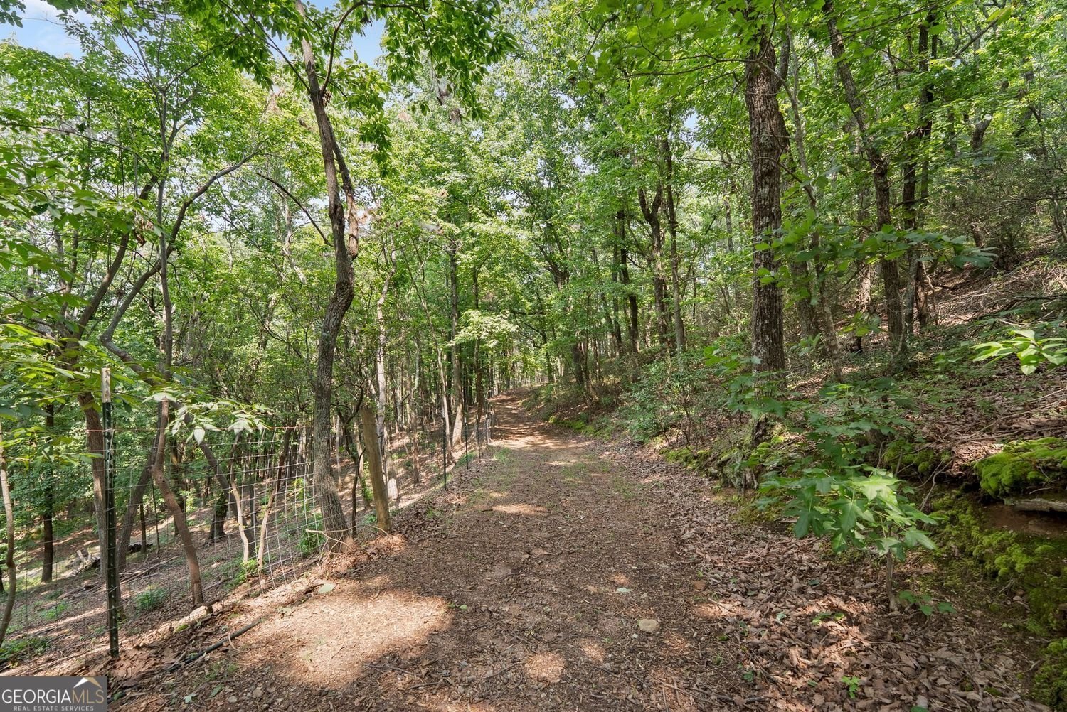 265 Lynda Lane Cleveland - Photo 48