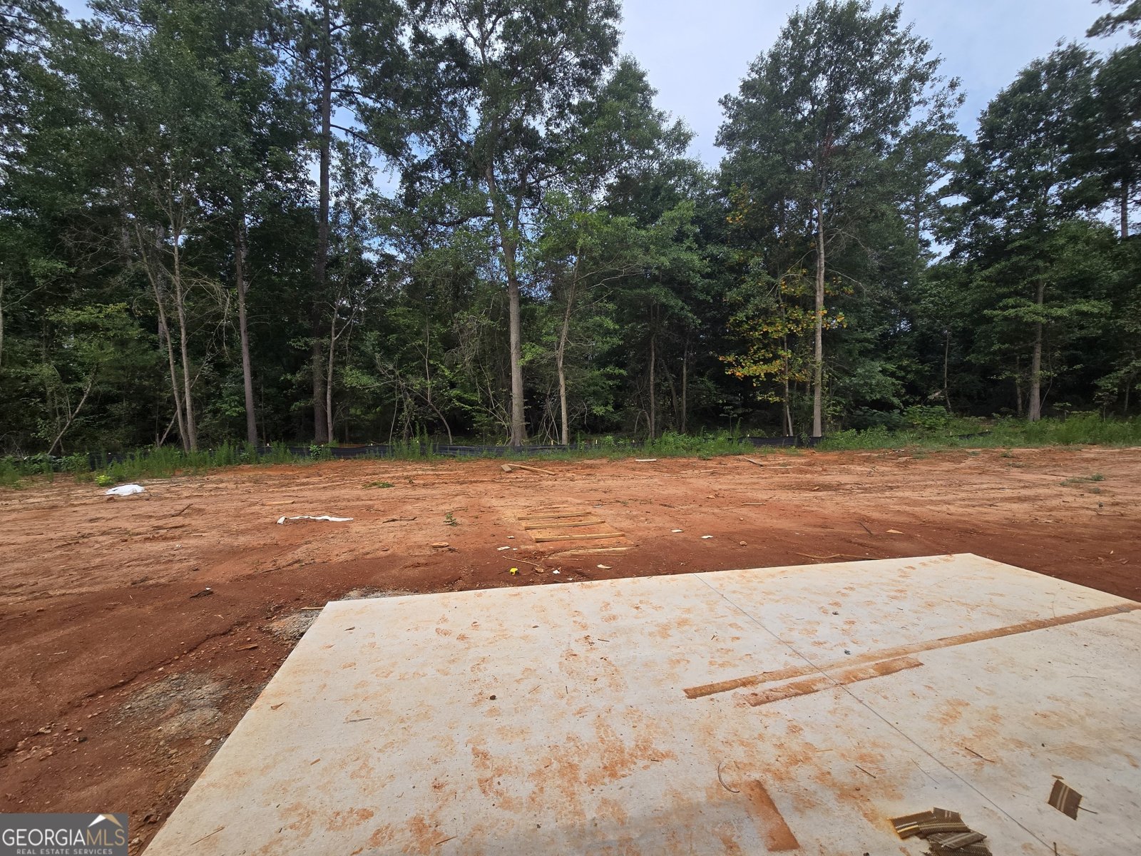 176 Preserve Trail Lavonia - Photo 21