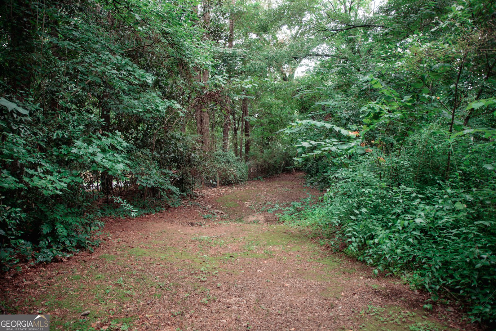 921 Crystal Drive Thomaston - Photo 104