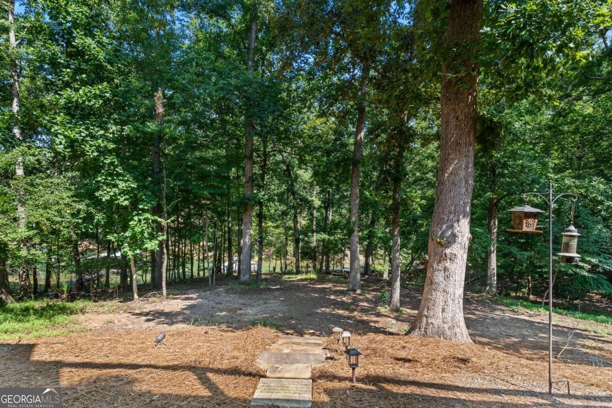 6014 Warpath Road Flowery Branch - Photo 53