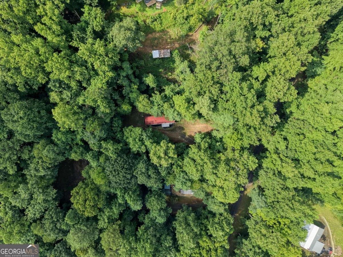 8223 True Love Mountain Road Young Harris - Photo 25